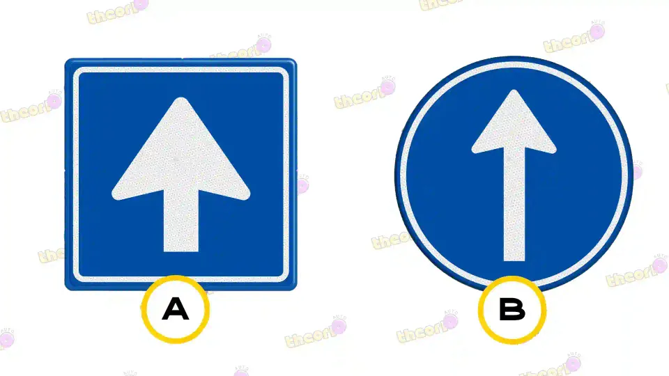 At which sign are you also allowed to turn left or right?