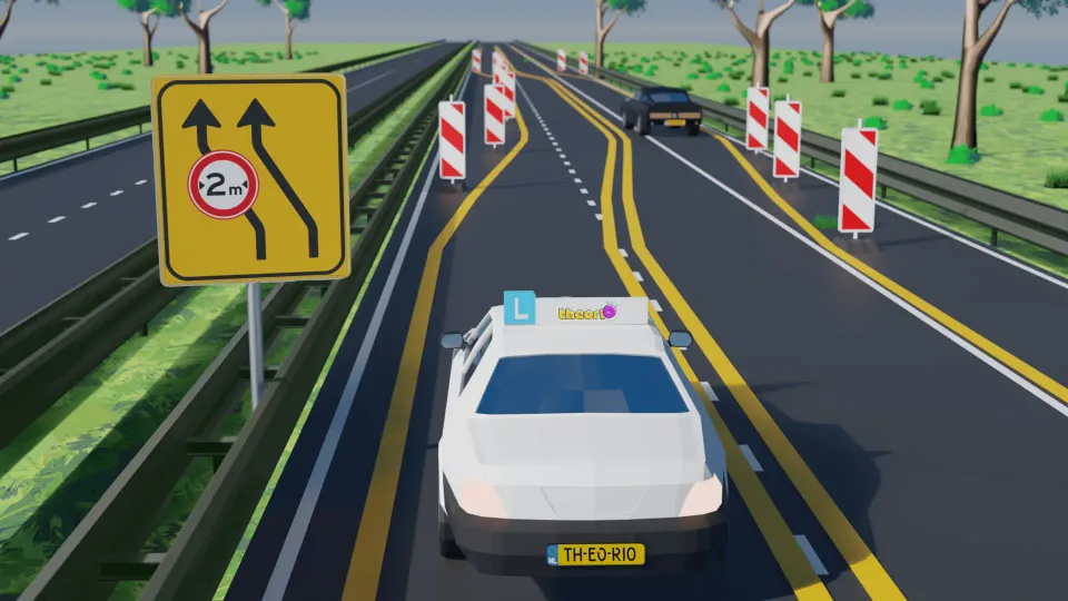 What does the yellow marking indicate?