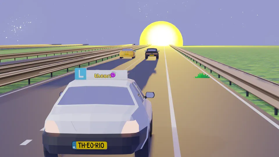 You have the low sun behind you. With which lighting should you drive?