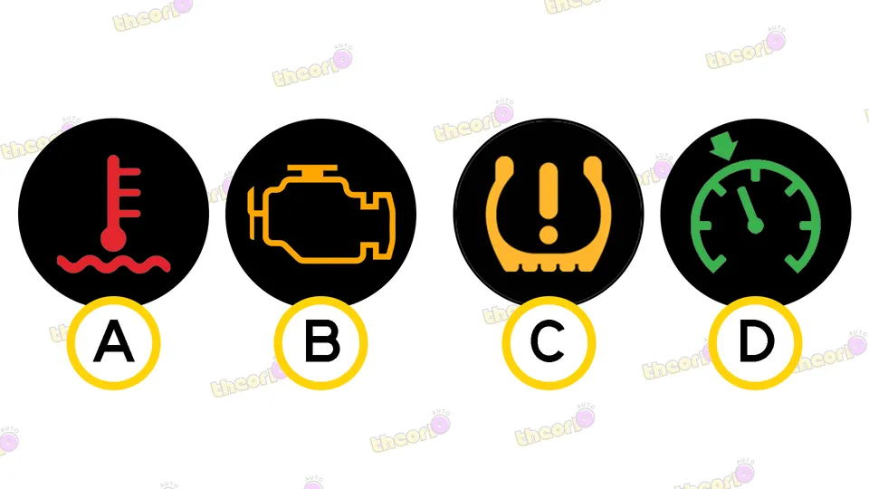 Which dashboard light means you must stop immediately?