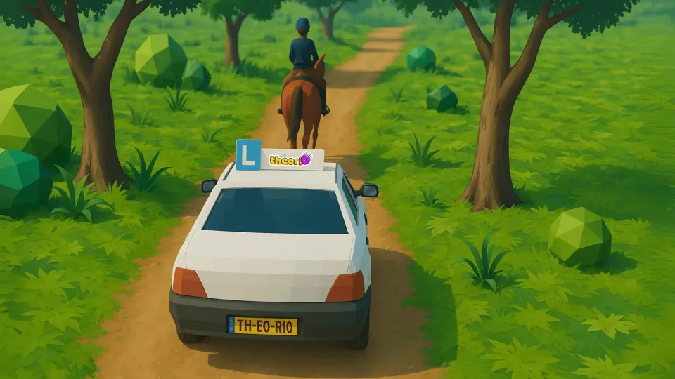 Are you allowed to overtake the rider here?
