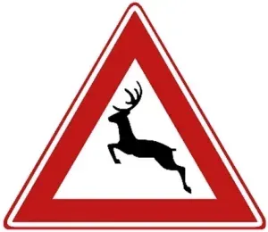 J27: Large wild animals