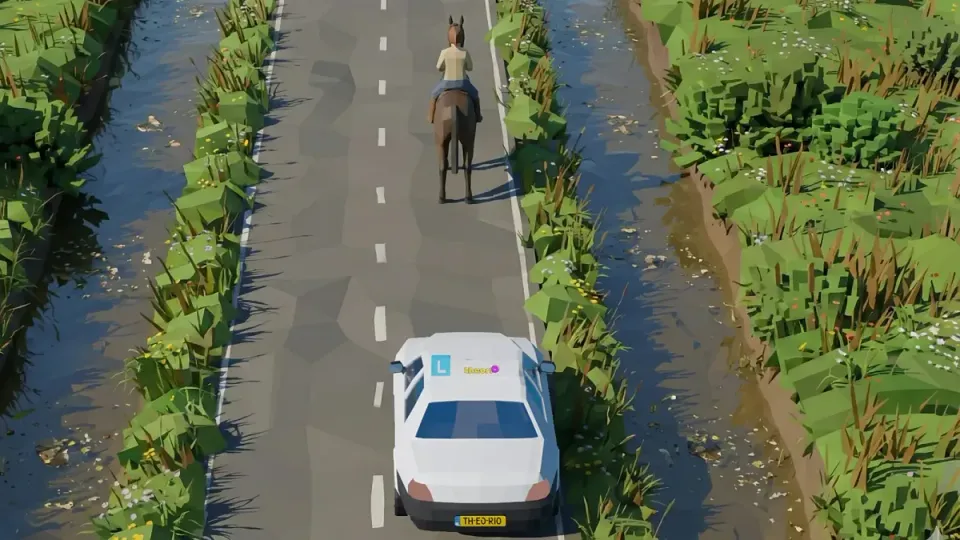 A horse rider on the road.