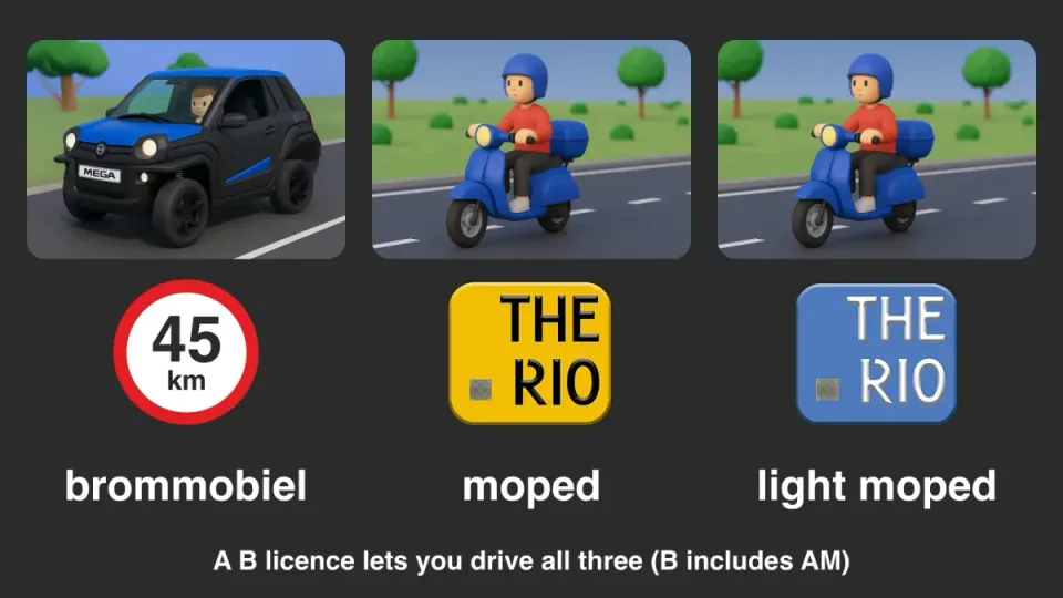 Brommobiel (45 sticker), moped (yellow plate) and light moped (blue plate). With a B licence you may drive all three.
