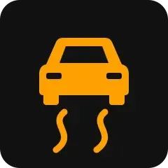 The ESP light: a car with two wavy tracks below it. If it also says OFF, ESP is switched off.
