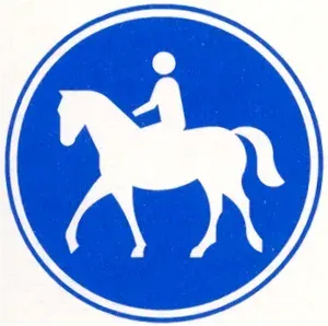 G9 requires horse riders to use the bridle path. It does not mean they never leave it or cross a road.
