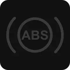 The ABS light comes on while driving and stays on. Then ABS probably does not work.