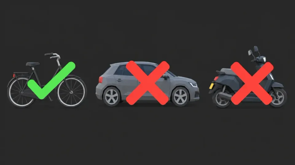 Has your licence been taken, have you been banned from driving or has your licence been declared invalid? Then you may still cycle, but not drive a car or ride a moped.