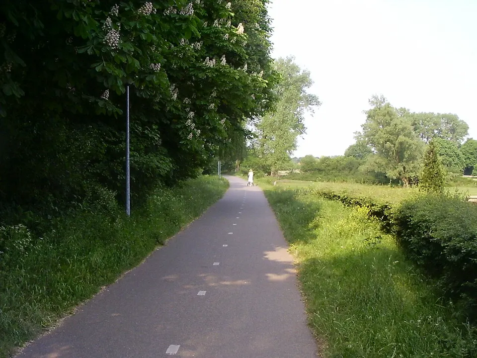 Pad door het groen — omgeving van Doetinchem