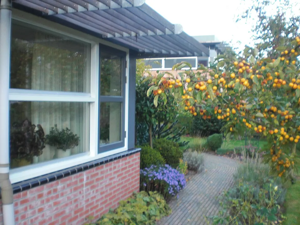 Woning met tuin — omgeving van Assen