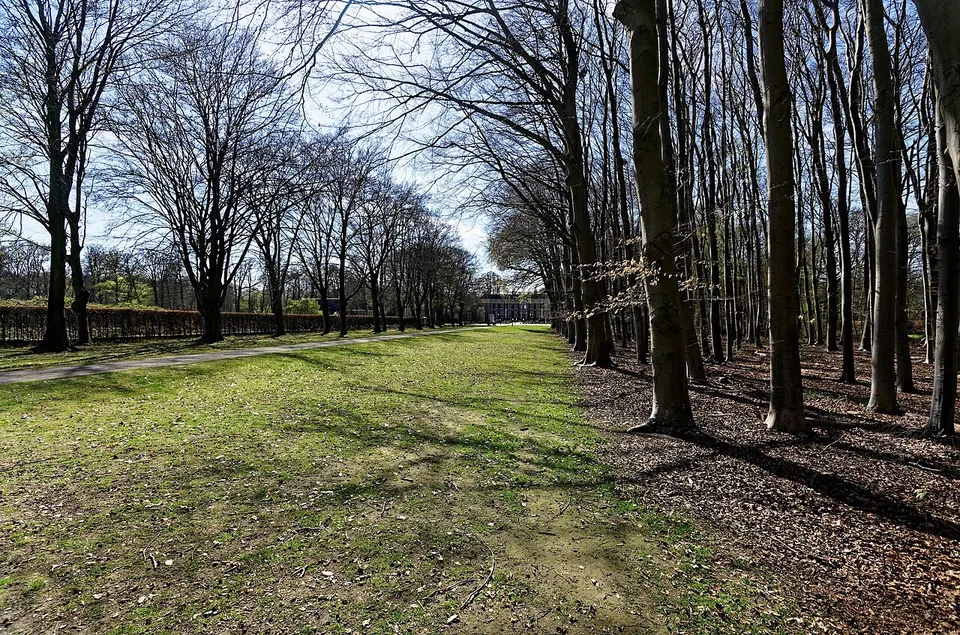 Green surroundings with trees — area around Baarn