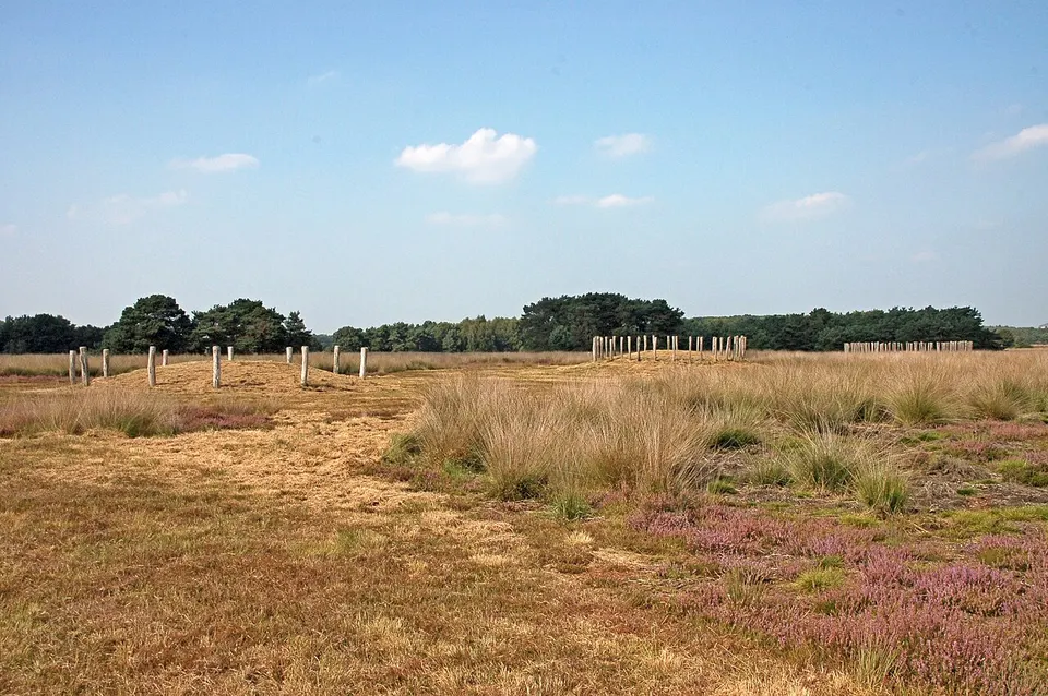 Open grassy landscape — area around Goirle