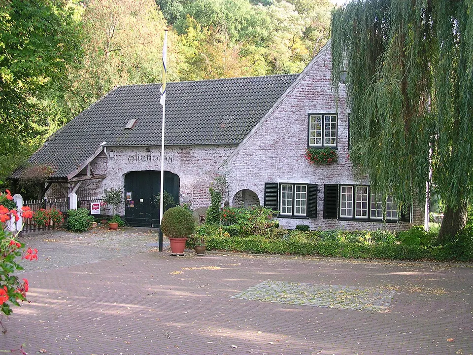 Oudere gebouwen langs de straat — omgeving van Heerlen