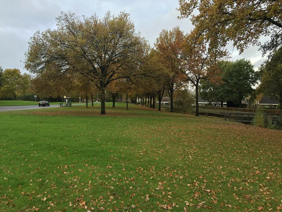 Groene omgeving met bomen — omgeving van Veendam