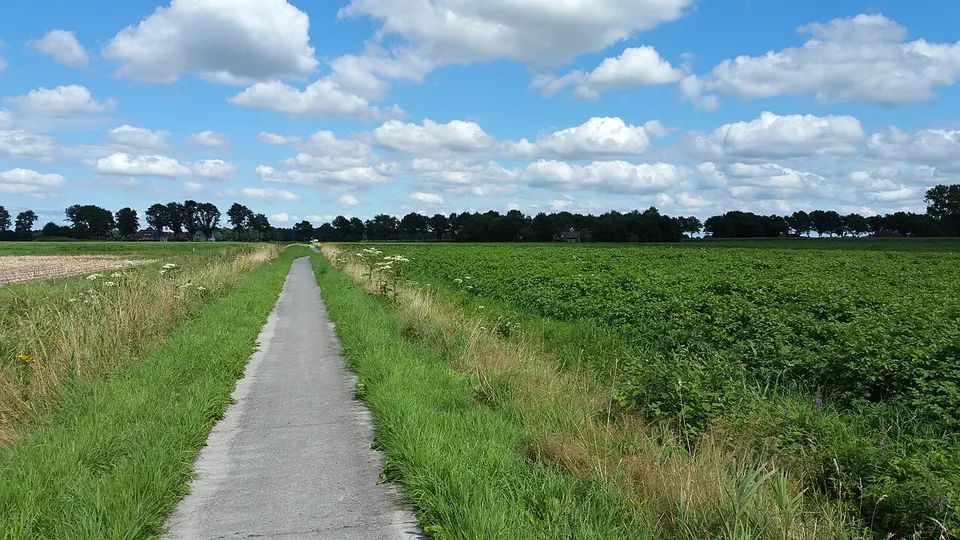 Path through green surroundings — area around Hoogezand