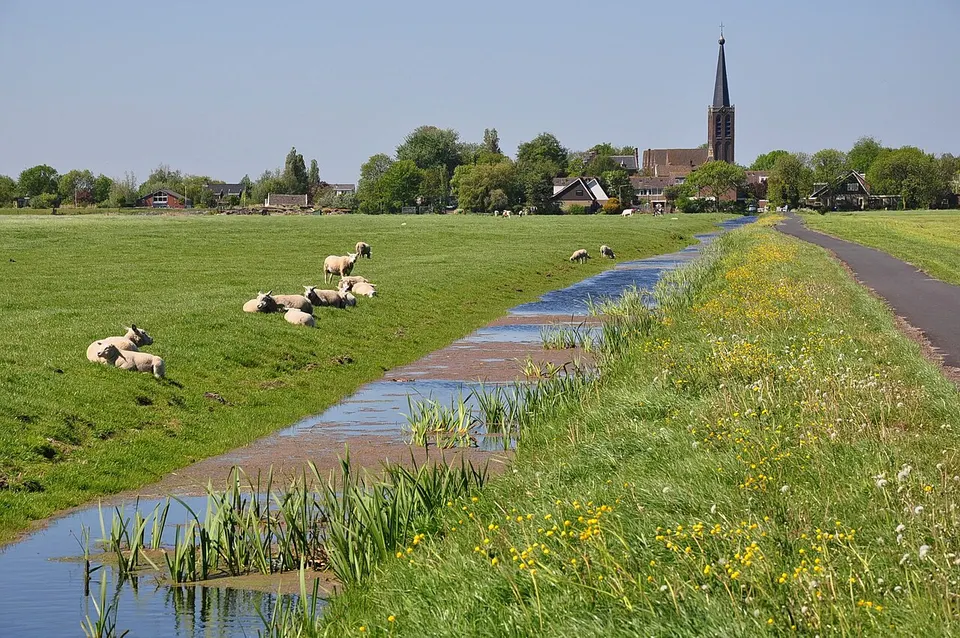 Watergang tussen grasvelden — omgeving van Zoeterwoude