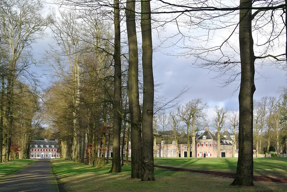 Groene omgeving met bomen — omgeving van Apeldoorn