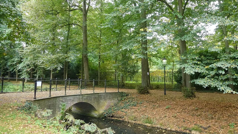 Groene omgeving met bomen — omgeving van Driebergen-Rijsenburg