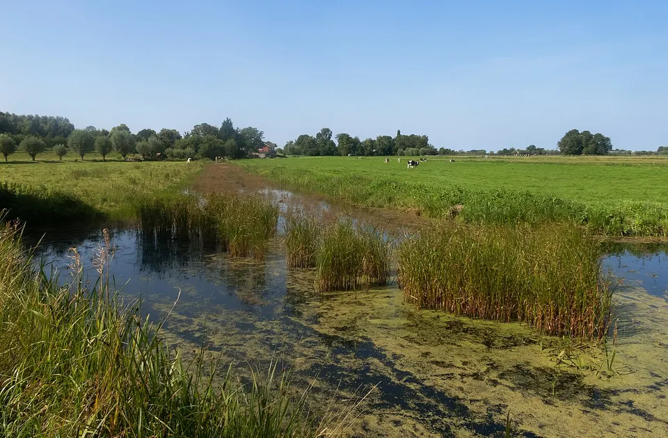 Water met groene oevers — omgeving van Vlaardingen