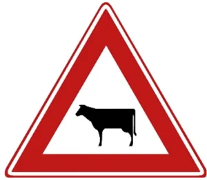 Vee
