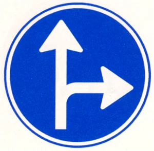 Gebod tot het volgen van één van de rijrichtingen die op het bord zijn aangegeven