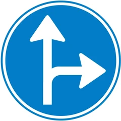 Bord D6: Rechtdoor of rechtsaf
